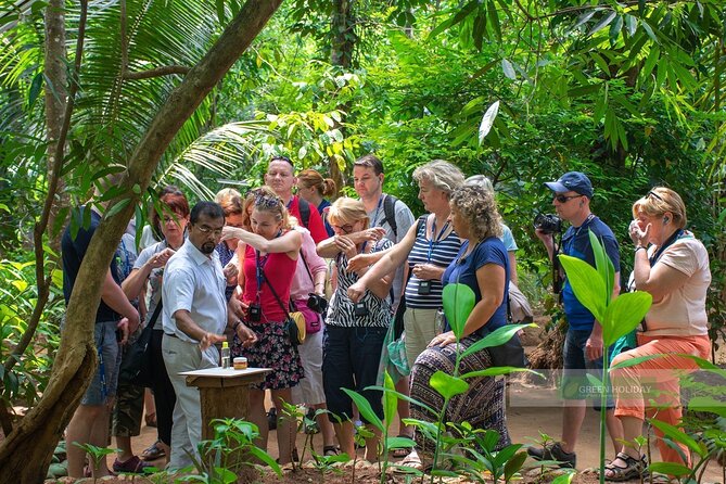 Kandy Day Trip with Tooth Relic Temple & Unique Attractions - Ninety minutes at Peradeniya Royal Botanical Gardens