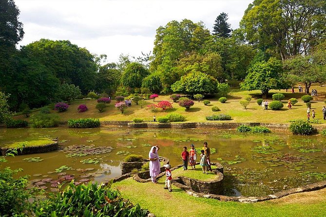 Kandy Day Trip with Tooth Relic Temple & Unique Attractions - The driver-guide makes a long road day easier