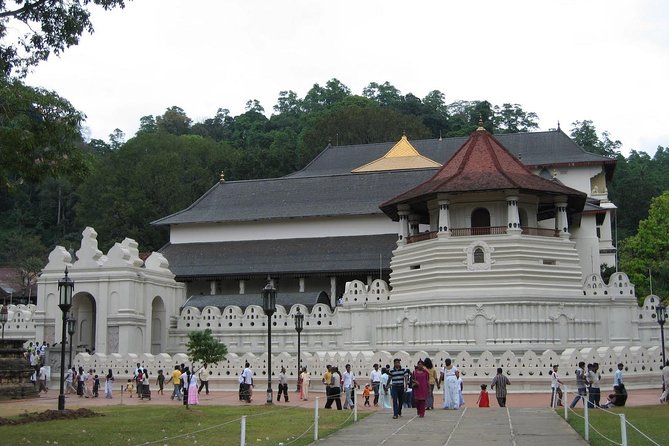 Kandy Day Trip with Tooth Relic Temple & Unique Attractions - Kadugannawa Tea Factory and the first taste of Ceylon tea