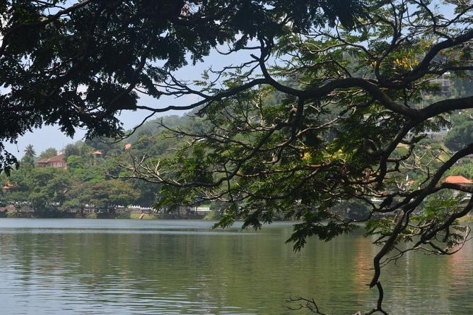 Kandy Full-Day Tour - Tea country in Kadugannawa