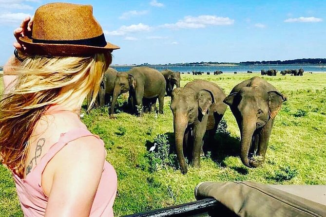 Kandy - Minneriya National park & Sigiriya Rock by tuk tuk tours - Dambulla Cave Temple requires time and effort