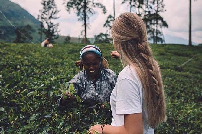 Kandy & Nuwara Eliya | 2 Days Tour - The spice garden adds a fragrant start