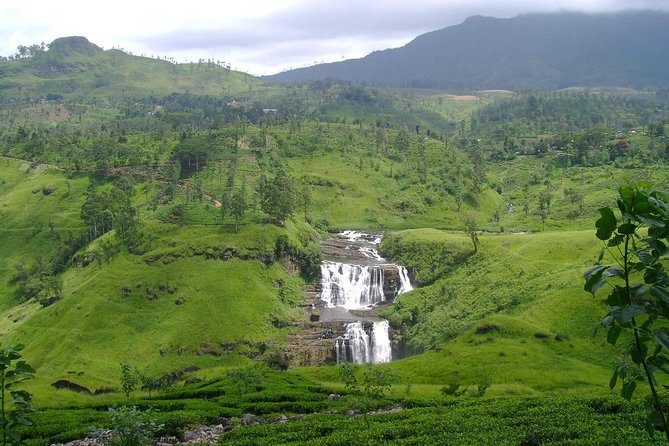 Kandy & Nuwara Eliya | 2 Days Tour - The Temple of the Tooth needs respectful attention