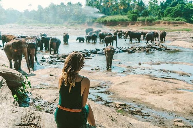 Kandy & Nuwara Eliya | 2 Days Tour - Peradeniya’s gardens reward a steady walk
