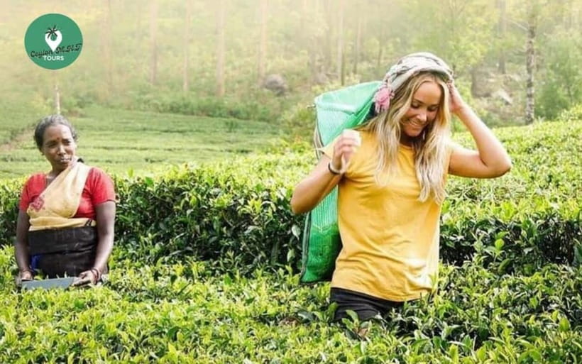 Kandy: Nuwara Eliya Day Explore by Tuk tuk with Local Guide - From Kandy to the cool hills of Nuwara Eliya