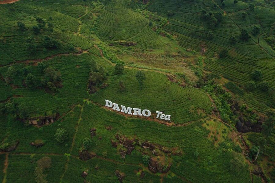 Kandy: Nuwara Eliya Day Trip - Who should book this Nuwara Eliya day trip?
