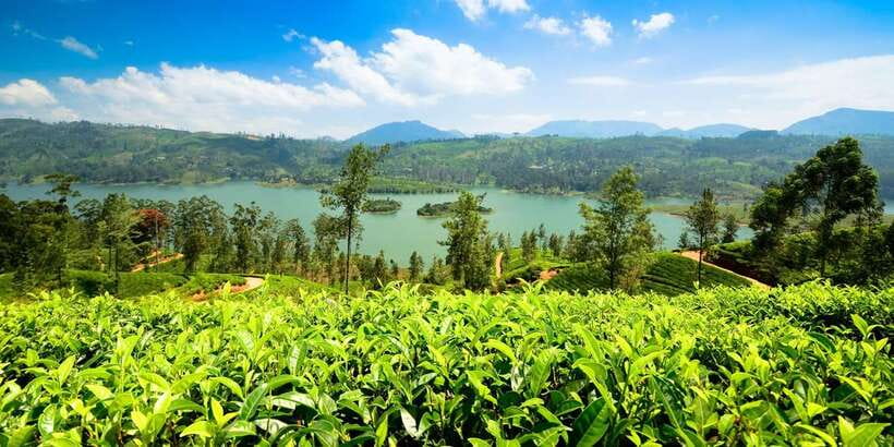Kandy: Nuwara Eliya Day Trip - What the $27 price really buys you