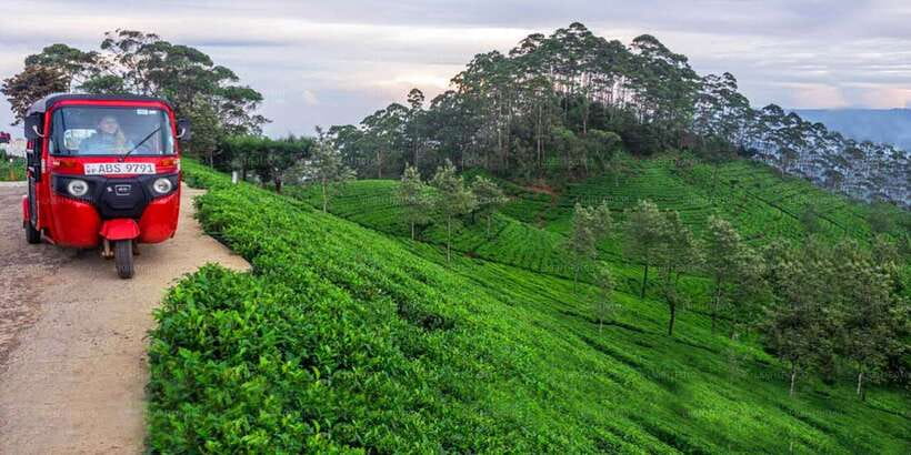 Kandy: Nuwara Eliya Day Trip - Ramboda Waterfall brings the first big view