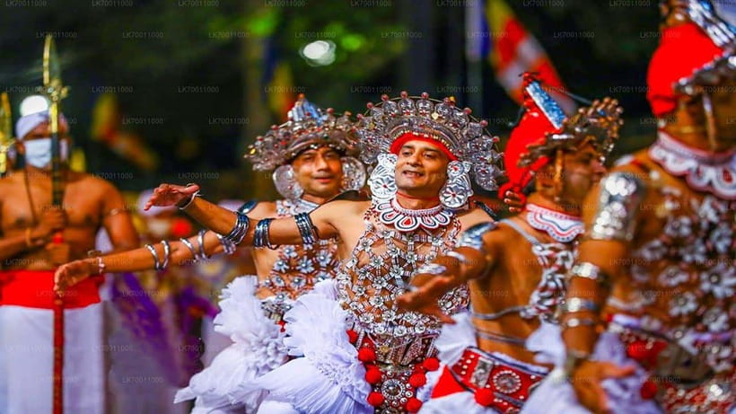 Kandy : Pinnawala Day Tour with Top Rated Local Guide - Who should book this day