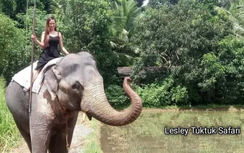 Kandy : Pinnawala Elephant Safari Private Guid Tuk Tuk Tour - Pinnawala first, then Kandy’s many faces