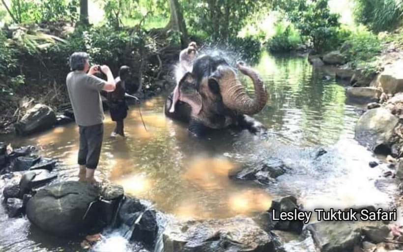 Kandy : Pinnawala Elephant Safari Private Guid Tuk Tuk Tour - A tuk-tuk route built for curious people