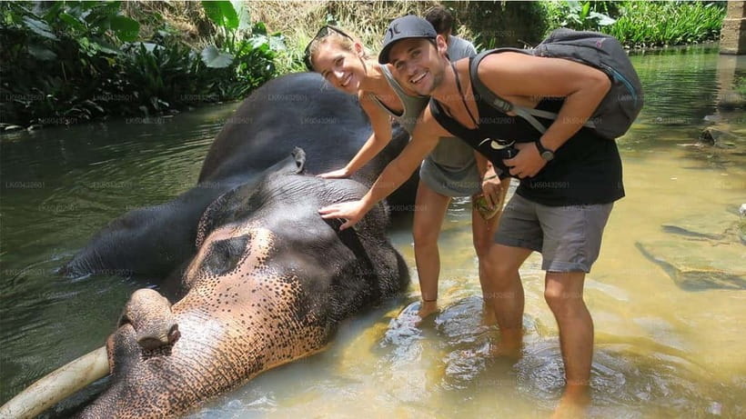 Kandy : Pinnawala Elephant Safari Private Guid Tuk Tuk Tour - Tea, stones, and local craft