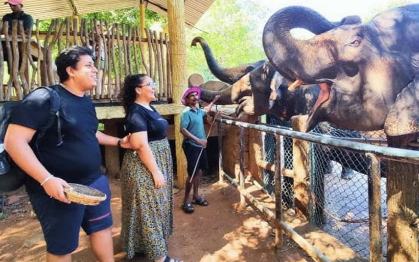 Kandy : Pinnawala Elephant Safari Private Guid Tuk Tuk Tour - Temples and viewpoints around Kandy