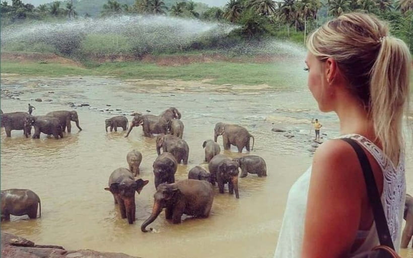 Kandy : Pinnawala Elephant Safari Private Guid Tuk Tuk Tour - The Temple of the Sacred Tooth Relic finishes the circuit