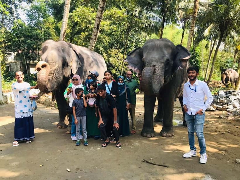 Kandy : Pinnawala Elephant Safari Private Guid Tuk Tuk Tour - The guide can shape the day