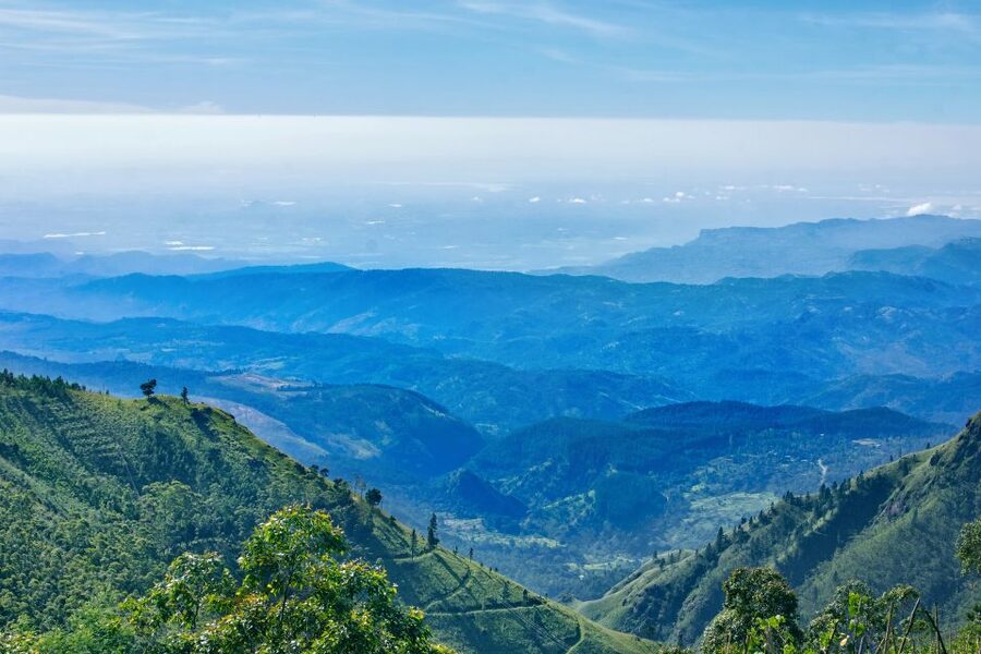 Kandy, Pinnawala Private Day Trip From The West Coast Beach - Lunch is extra, and the choice matters
