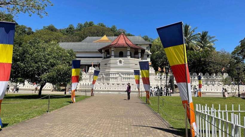 Kandy & Pinnawala & Tea Factory Full Day Tour From Negombo - Key things to know before you book