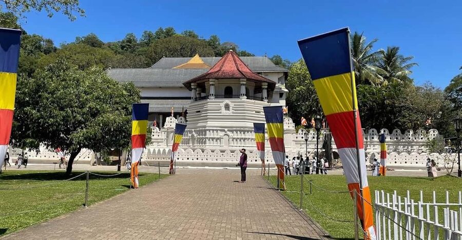 Kandy & Pinnawala & Tea Factory Full Day Tour From Negombo - Why the driver-guide matters
