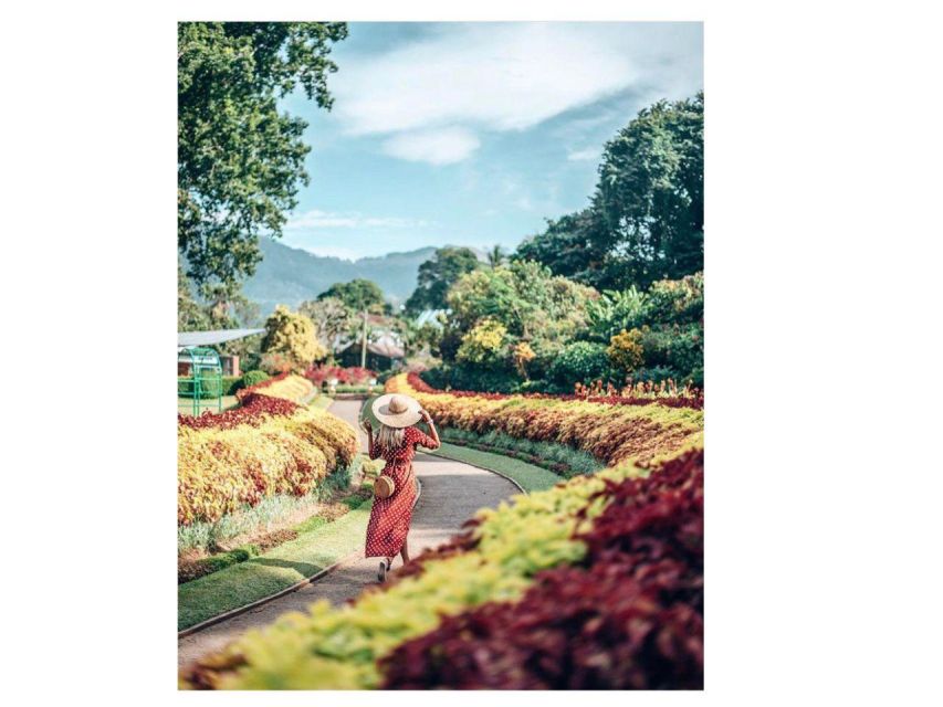 Kandy Private Guided City Day Tour by Local Tuk Tuk - Bahirawakanda Temple and Kandy’s best city views