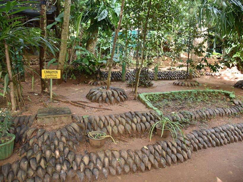 Kandy Private Guided City Tour by Tuk Tuk - The Royal Botanical Garden: worth the extra fee?