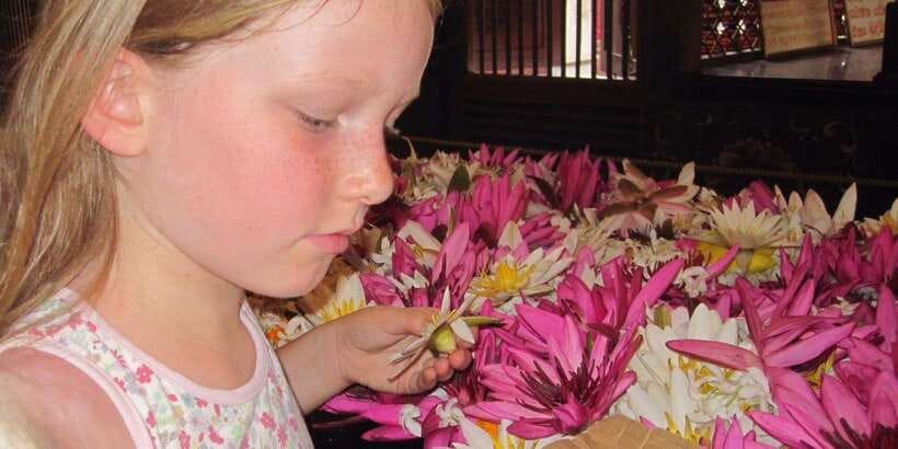 Kandy: Private Guided City Tours by Tuk Tuk Sightseeing Tour - Kandy wood crafting and the shopping question