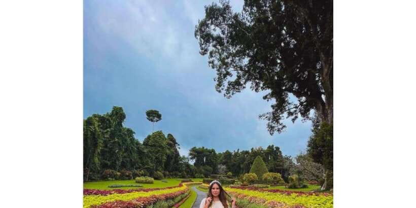 Kandy: Private Guided City Tours by Tuk Tuk Sightseeing Tour - Tea tasting and the tea factory