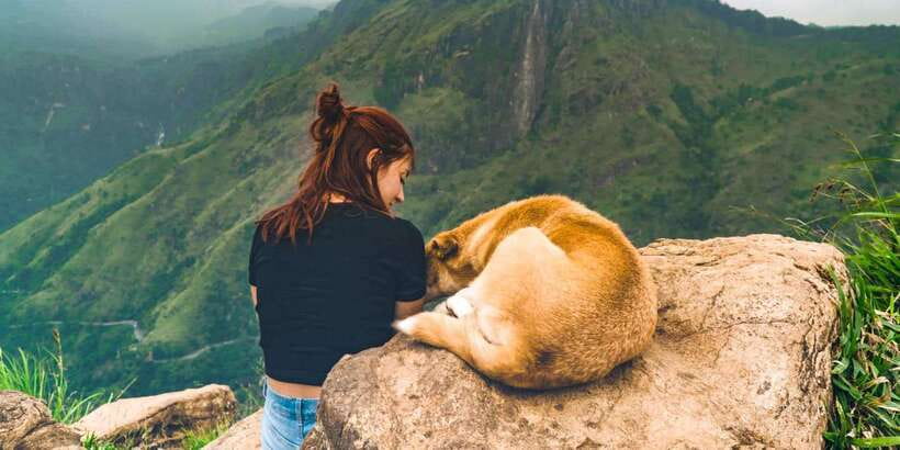 Kandy: Shanthipura and Nuwara Eliya - Key points to know before booking