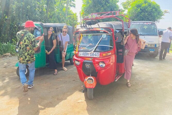 Kandy, Sigiriya and Pidurangala Rock Tuk Tuk Safari - Minneriya elephants or a local village visit