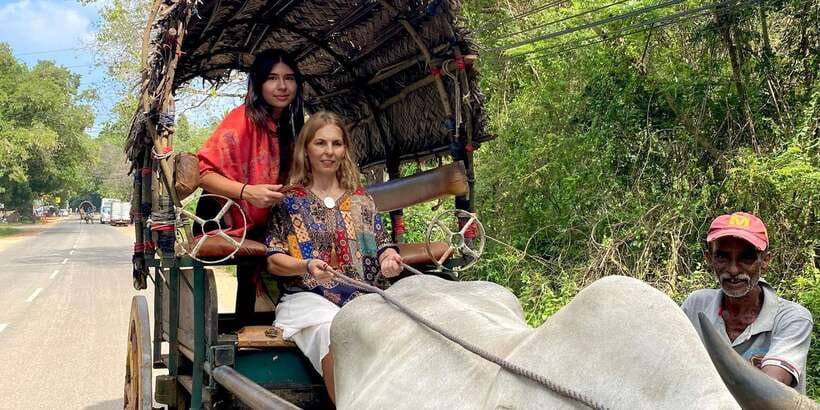 Kandy: Sigiriya, Dambulla & Wildlife Safari Private Tour - What the $19 price really covers