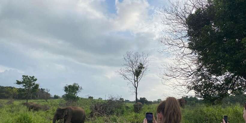Kandy: Sigiriya, Dambulla & Wildlife Safari Private Tour - Choosing the right park for the Habarana safari