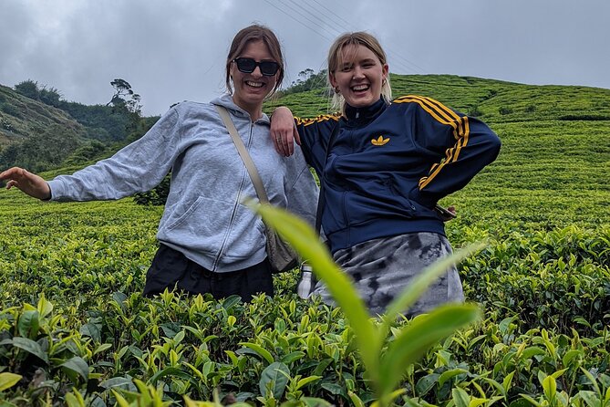 Kandy To Dambulla and Sigiria City Full Day by Laka Tours - Royal Botanical Gardens at Peradeniya