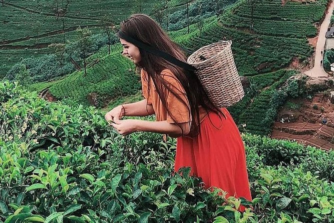 Kandy to Nuwara Eliya Day Tour - Ramboda Falls brings an early scenic stop