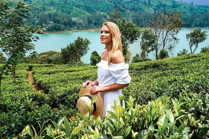 Kandy to Nuwara Eliya Day Tour - Timing, comfort, and small practical points