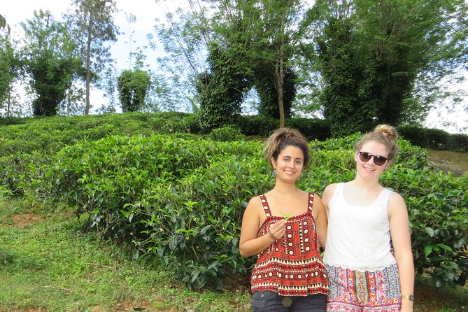 Kandy to Nuwara Eliya Day Trip – Little England & Tea Country - Victoria Park and the old town feel