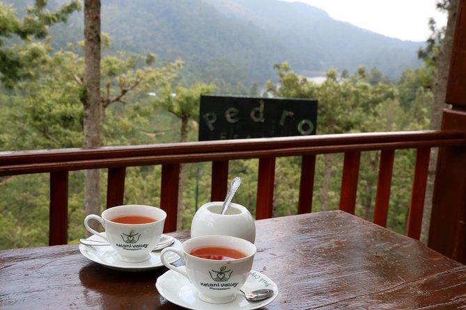 Kandy to Nuwara Eliya Day Trip – Little England & Tea Country - Why the private vehicle matters on this route
