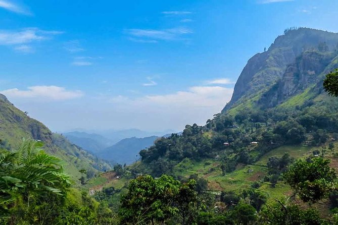 Kandy to Nuwara Eliya Private Day Tour - Why this Kandy day trip works