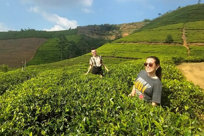 Kandy to Nuwara Eliya Private Day Tour: Tea Factory& Gregory Lake - Key points at a glance