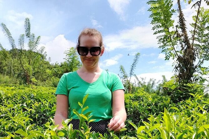 Kandy to Nuwara Eliya Private Day Tour: Tea Factory& Gregory Lake - Why this road from Kandy is worth your time