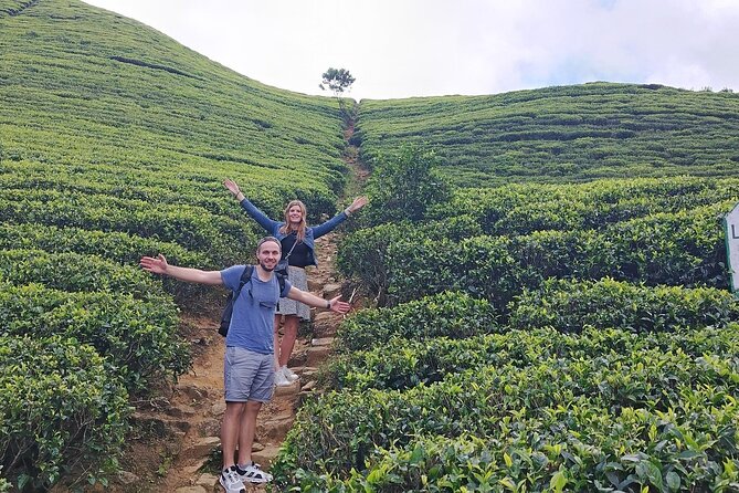 Kandy to Nuwara Eliya Private Day Tour: Tea Factory& Gregory Lake - What the $28 price really includes
