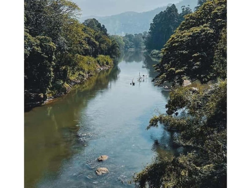 Kandy to Pinnawala Guided Day Tours by Local - Timing, food, and the true cost