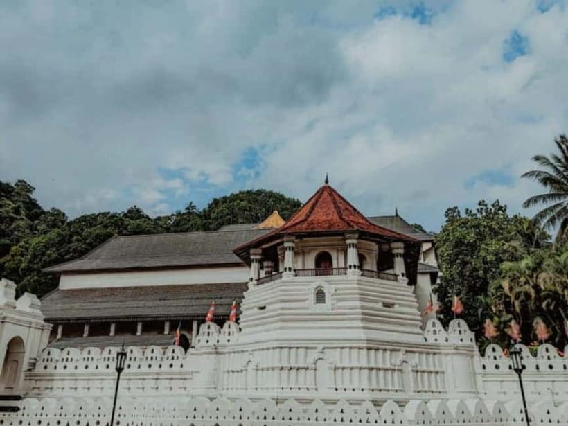 Kandy to Pinnawala Guided Day Tours by Local - What the guides do well, and where you need to be clear