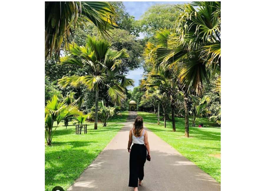 Kandy to Pinnawala Orphanage and Ambuluwawa Guided Day Tours - How to make the itinerary work