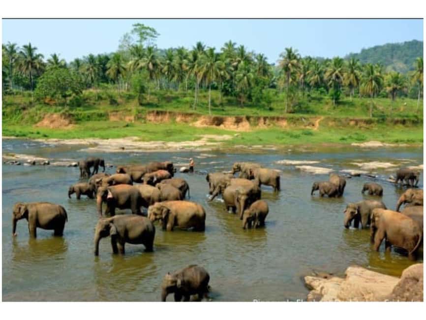 Kandy to Pinnawala Orphanage and Ambuluwawa Guided Day Tours - Kadugannawa Rock View and the road through tea country