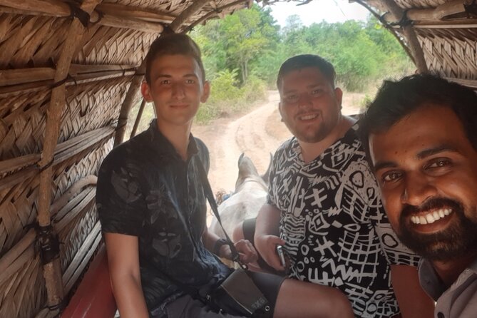 Kandy to Sigiriya and Dambulla Private Day Tour - What this Kandy day trip is really offering