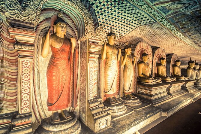 Kandy to Sigiriya and Dambulla Safari Day Tour - Who should book this day out