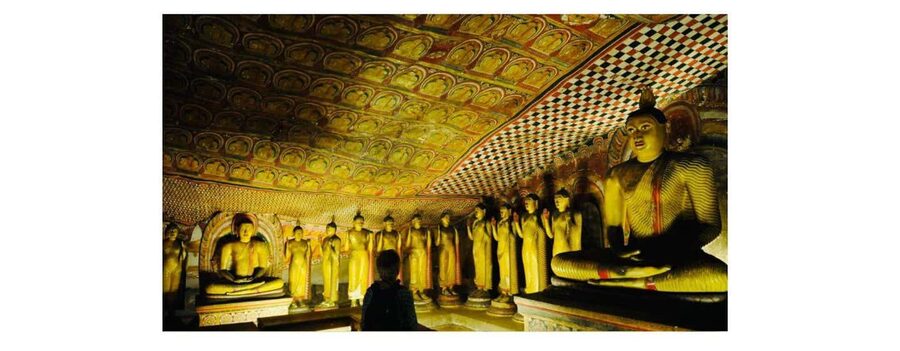 Kandy to Sigiriya Guided Day Tours by Local - Kandalama Reservoir and the road to Sigiriya