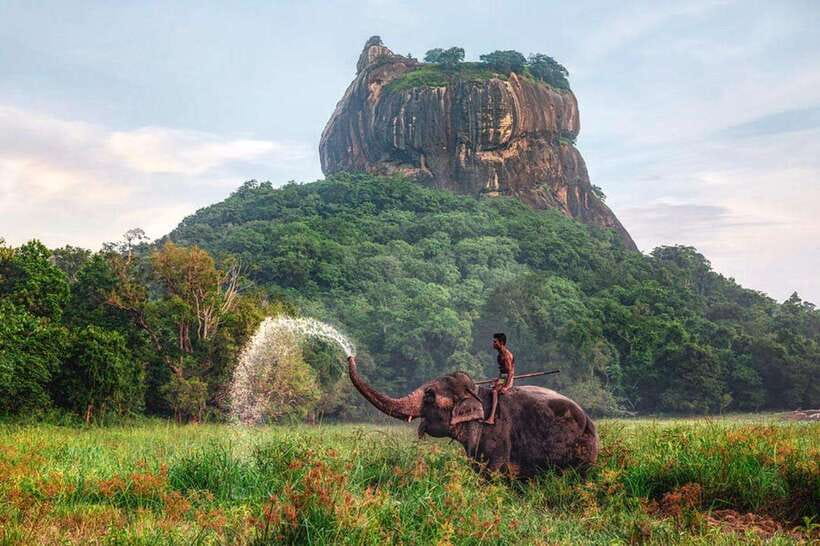 Kandy to Sigiriya Private Tour by Tuk Tuk with All Fees - Spices, cinnamon, and the commercial side of Sri Lanka