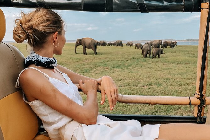 Kandy to Trincomalee Shuttle & Safari Drive - Choosing between Minneriya, Kaudulla, and Hurulu