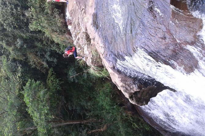 kandy waterfalls day tour - What the $61.61 price covers