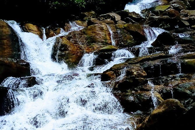 Kanneliya Rain Forest Tour - Key things to know before booking